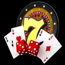 333bet com