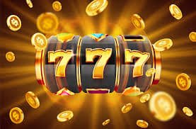 333bet com