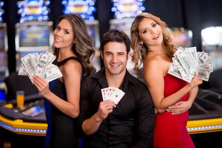 333bet com