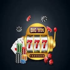 333bet com