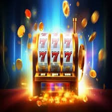 333bet com